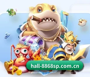 hall-8868sp.com.cn的故事