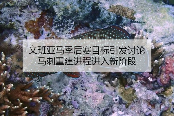 wen-ban-ya-ma-ji-hou-sai-mu-biao-yin-fa-tao-lun-ma-ci-chong-jian-jin-cheng-jin-ru-xin-jie-duan-2-846.jpg